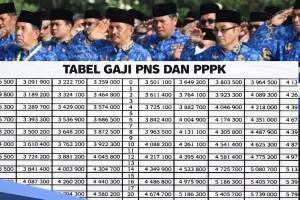 PPPK Mengganti PNS? Data Resmi Tunjukkan Pergeseran Besar di Era Jokowi