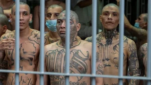 Ratusan Pemimpin MS-13 Diadili di El Salvador, Sementara Imigran Salvador Mengamati Perdebatan TPS AS