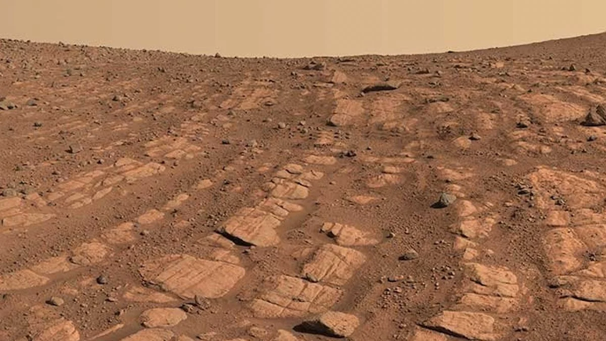 Rover NASA Temukan Formasi Sisik Naga di Mars: Penemuan yang Mengguncang Ilmu Planet