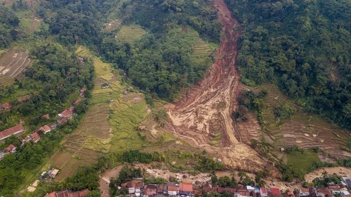 Tebing 15 Meter Jatuh Mengguncang Sumedang: Kebun Teh Cisoka Terkunci Total Pasca Hujan Deras
