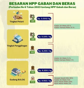 Tiada Hari Tanpa Beras: Pemerintah Tahan HPP Gabah di Rp6.500/kg untuk Stabilitas SPHP