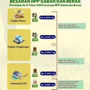 Tiada Hari Tanpa Beras: Pemerintah Tahan HPP Gabah di Rp6.500/kg untuk Stabilitas SPHP