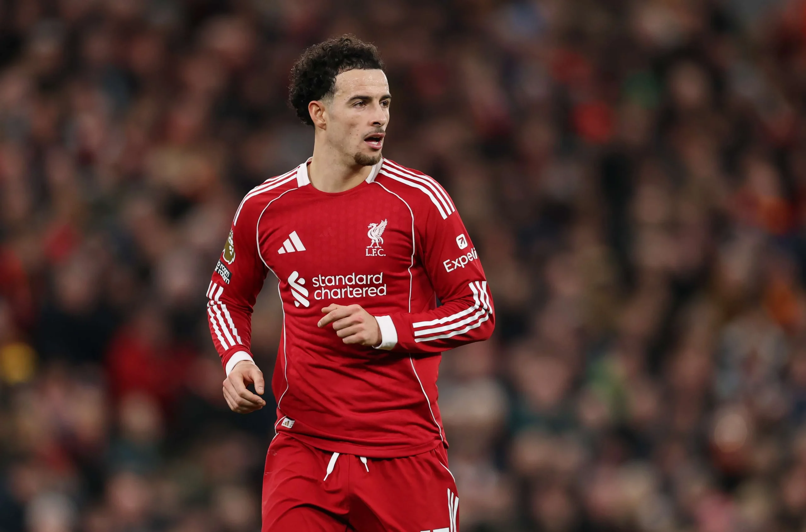 Curtis Jones Dikejutkan Liverpool: Pilihan Transfer Besar atau Kontrak Baru?
