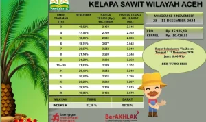 Krisis Harga TBS Kelapa Sawit: Pemerintah dan Bupati Ambil Langkah Cepat