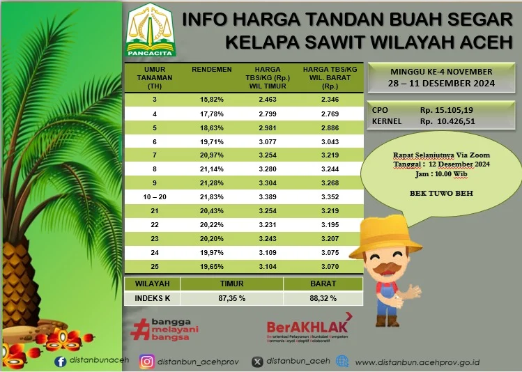 Krisis Harga TBS Kelapa Sawit: Pemerintah dan Bupati Ambil Langkah Cepat