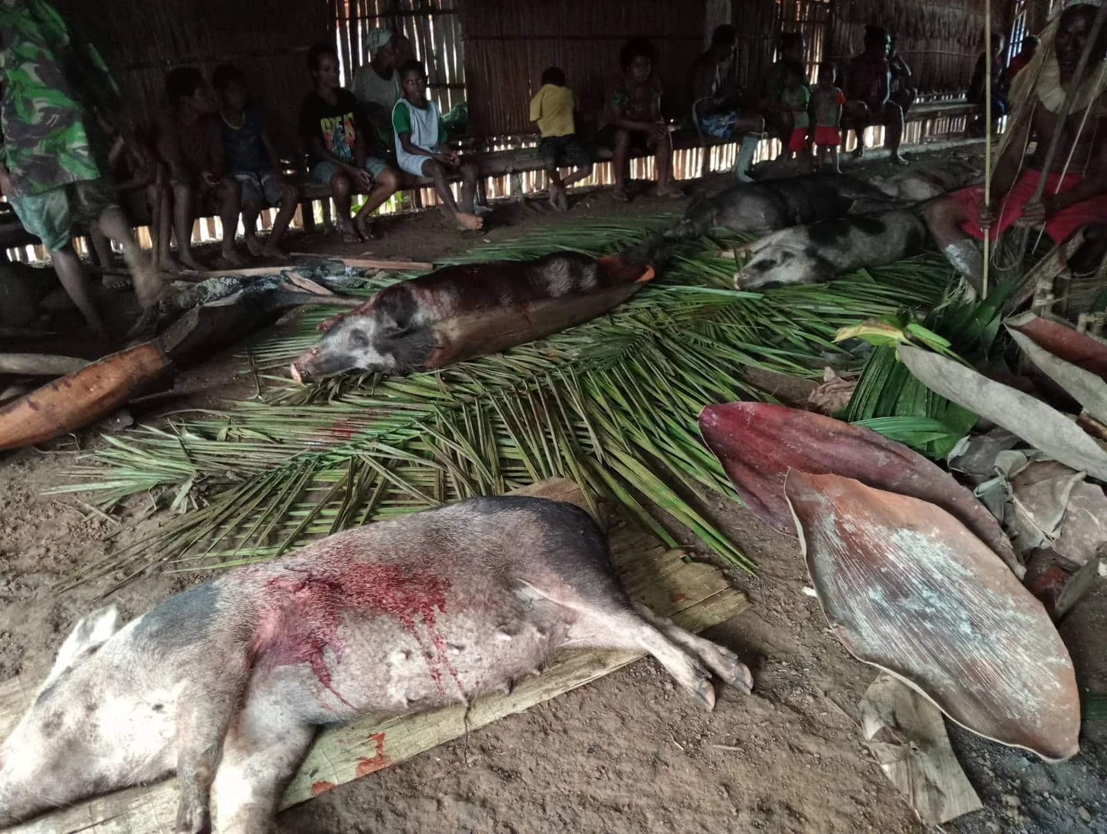 Pusat Pastoral Ungkap Alasan Kontroversial di Balik Pembatalan Film Pesta Babi