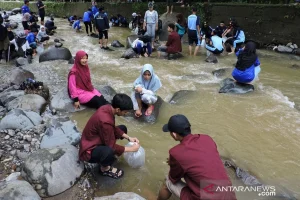 Ribuan Ikan Tengadak dan Tawes Dilepas di Bogor: Upaya Besar Pulihkan Kejayaan Ciliwung