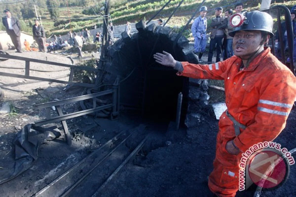 Tragedi Batu Bara: Dua Karyawan Tewas di Indonesia dan Ledakan Mematikan di China