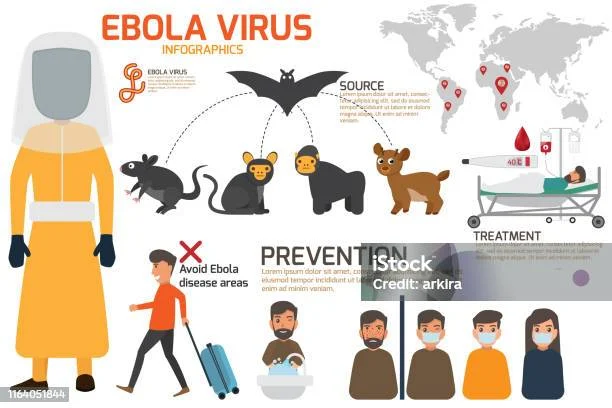 Wabah Ebola Kembali Muncul: Gejala, Penularan, dan Langkah Pencegahan