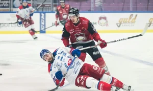 Anton Wahlberg Trejdas - En Ny Kapitel för Tidigare Malmö Redhawks-Centern