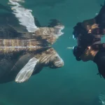 ArtScience 9 Film Pilihan di Sustainable Futures Film Festival 2026 dari Dokumenter hingga Animasi