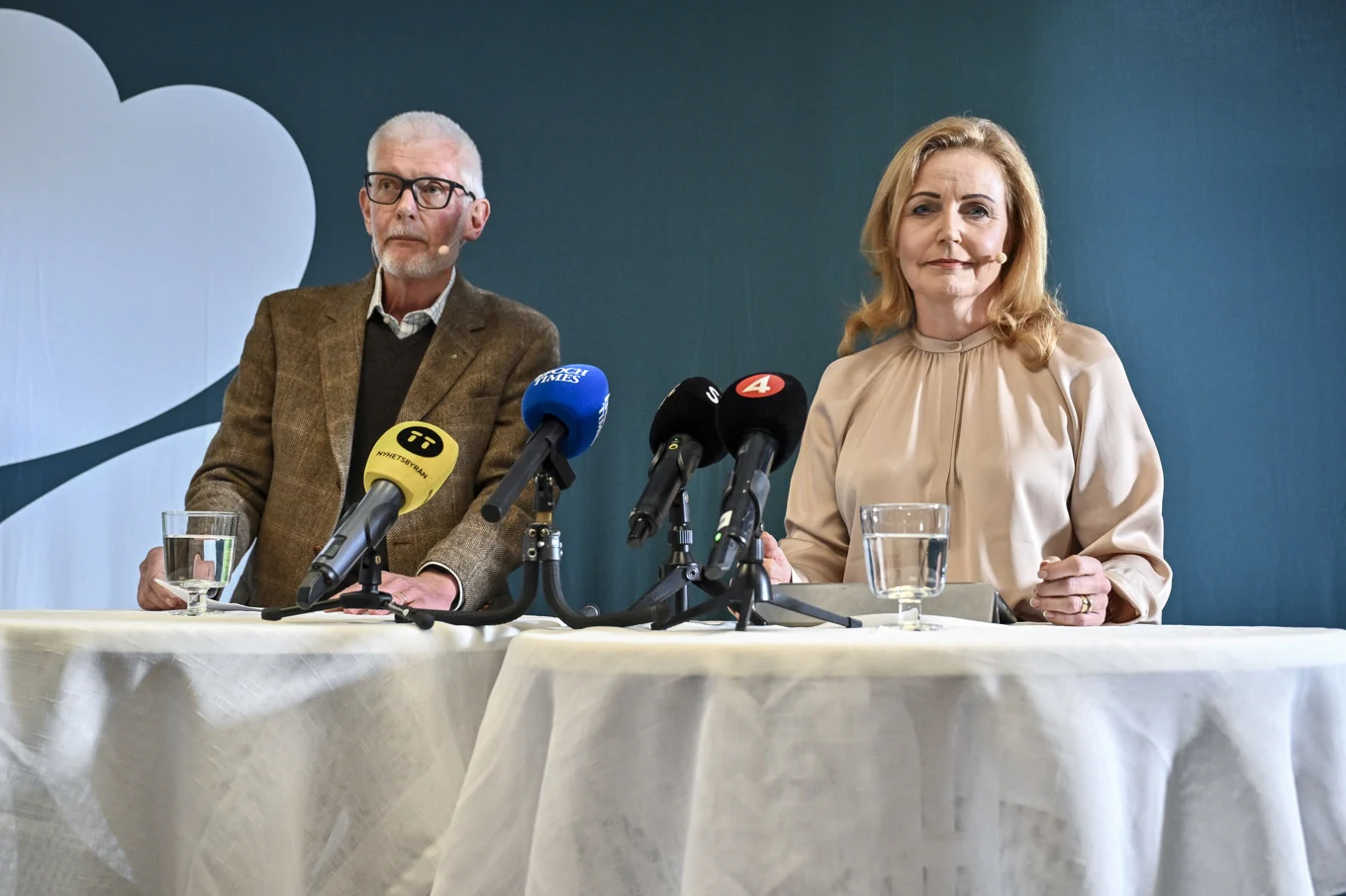 Elisabeth Thand Ringqvist: En Ledare Med En Väldigt Specifik Agenda