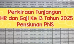 Gaji ke-13 PNS: Penjelasan Terbaru dan Kategori yang Tidak Menerima