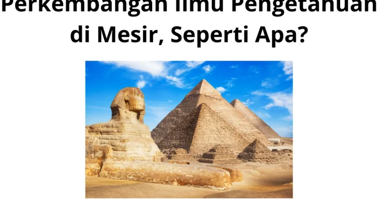 Mesir Siap Jadi Pusat Pendidikan dan Inovasi Dunia