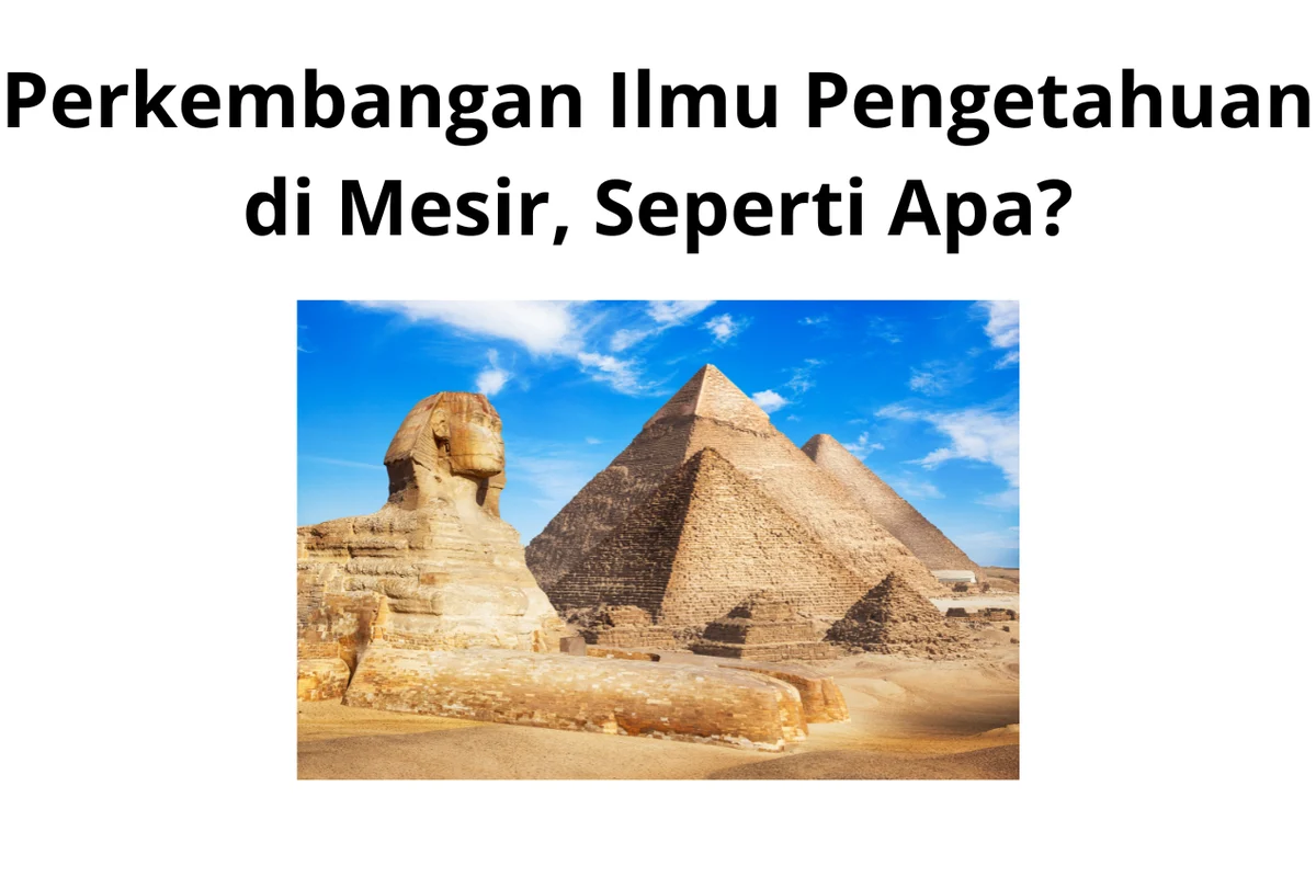 Mesir Siap Jadi Pusat Pendidikan dan Inovasi Dunia