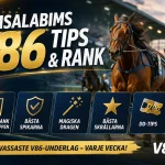 Svenska V86-kurser Fyller Upp Sommaren med Spänning - w Vikingasamhälle Upptäckt i Danmark
