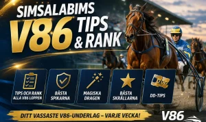 Svenska V86-kurser Fyller Upp Sommaren med Spänning - w Vikingasamhälle Upptäckt i Danmark