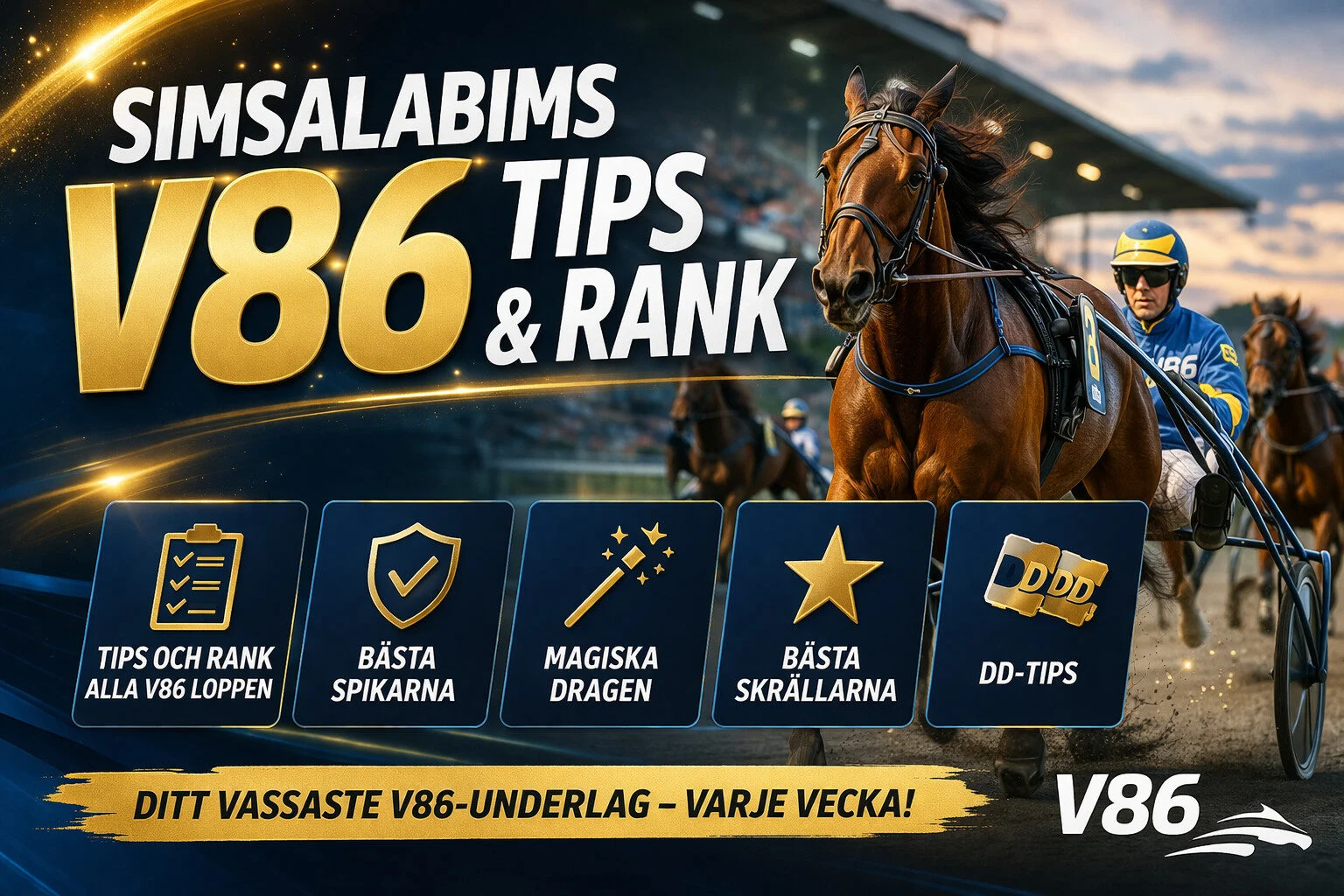 Svenska V86-kurser Fyller Upp Sommaren med Spänning - w Vikingasamhälle Upptäckt i Danmark