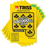 Trisslott: Bisnis Triss yang Membuat Seseorang Meninggalkan Warisan Besar