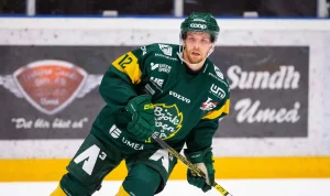 Björklövens prestigevärvning: NHL-meriterade Phil Di Giuseppe klar för SHL-satsningen