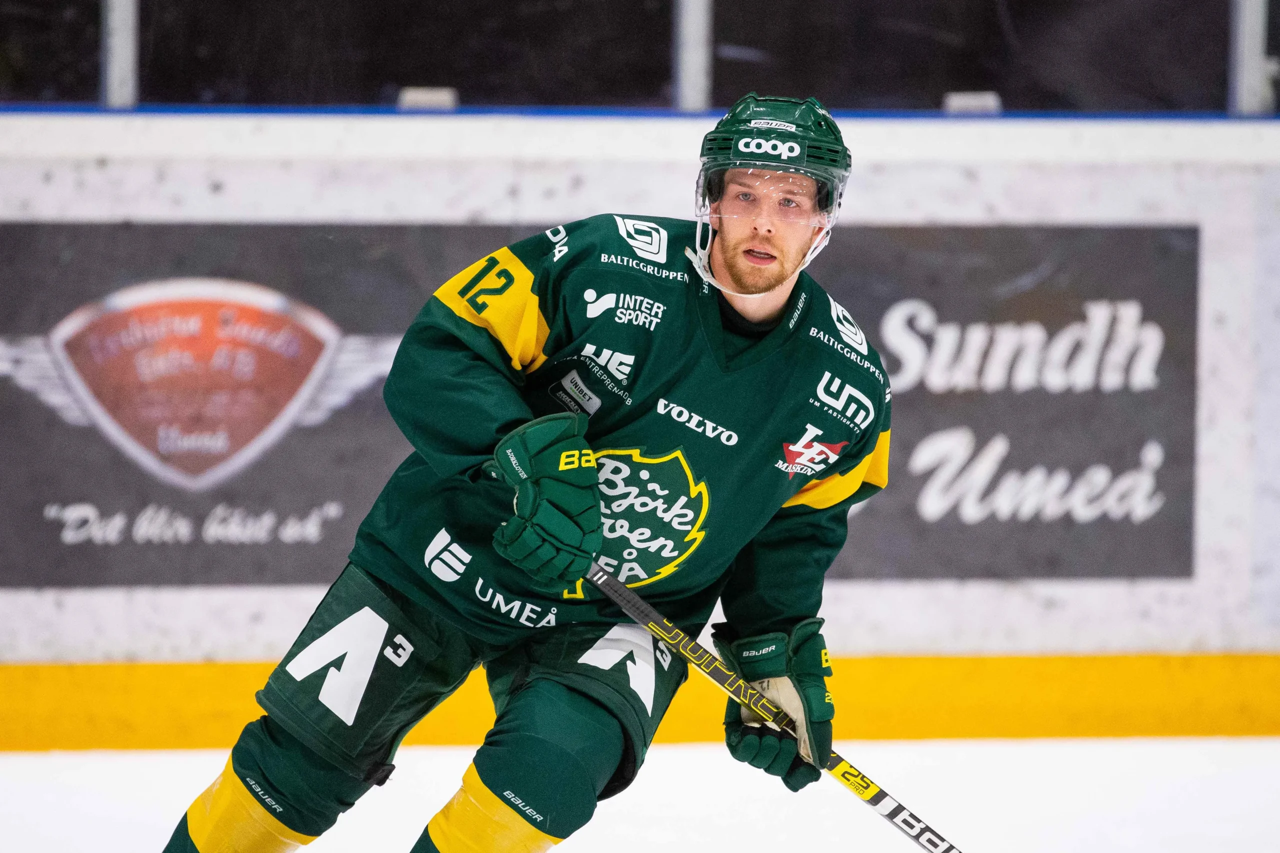 Björklövens prestigevärvning: NHL-meriterade Phil Di Giuseppe klar för SHL-satsningen