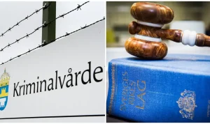 Demokraten Platner Avbryter Kampanj efter Anklagelser om Våldtäkt