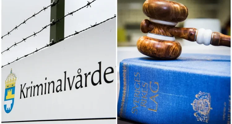 Demokraten Platner Avbryter Kampanj efter Anklagelser om Våldtäkt