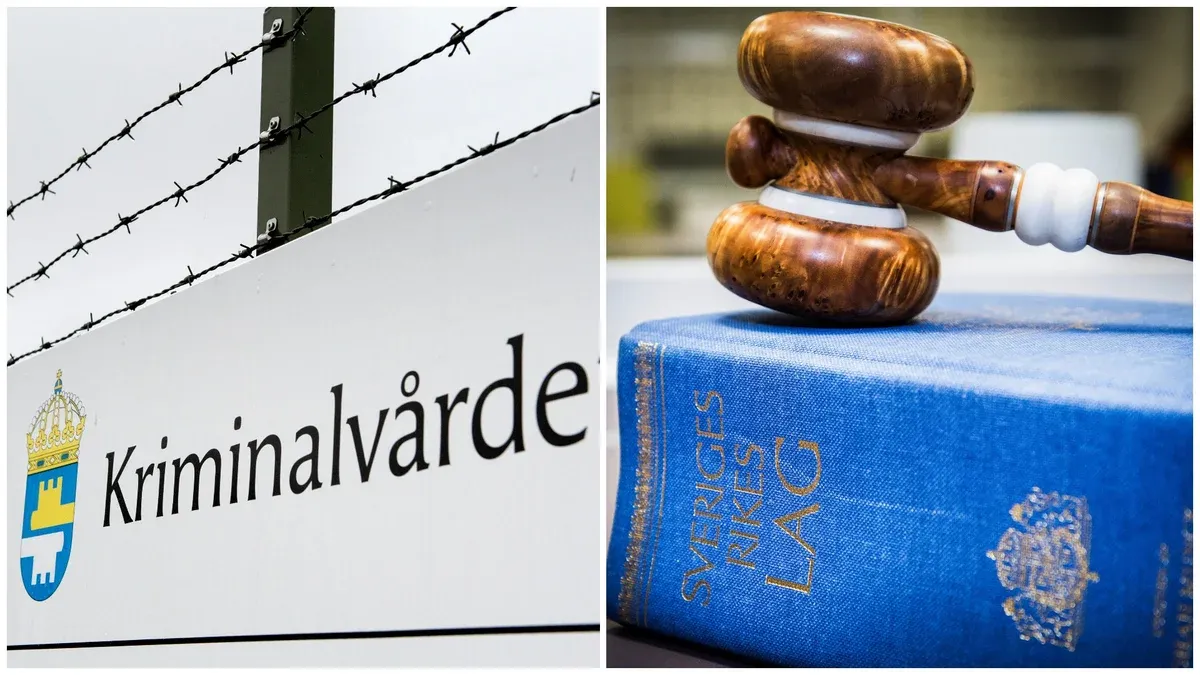 Demokraten Platner Avbryter Kampanj efter Anklagelser om Våldtäkt