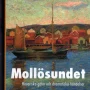 Dramatiska händelser skakar Bollnäs - Vattenolycka och LD-resultat