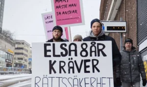 Fallet Elsa: Politiker och socialnämnd i stormen