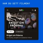 Miljardbelopp och rättsliga efterspel: När globala jättar tvingas betala priset för sina handlingar
