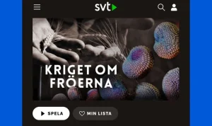 Miljardbelopp och rättsliga efterspel: När globala jättar tvingas betala priset för sina handlingar