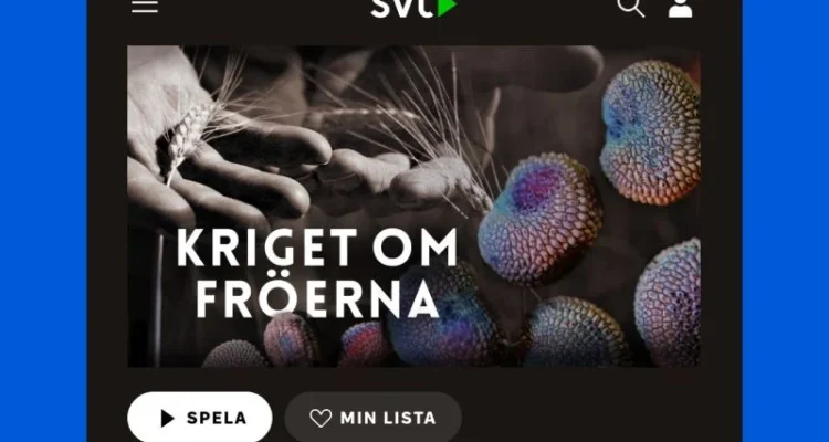 Miljardbelopp och rättsliga efterspel: När globala jättar tvingas betala priset för sina handlingar