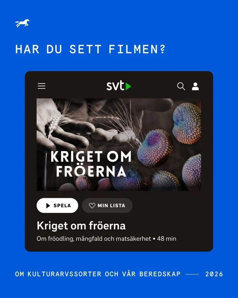 Miljardbelopp och rättsliga efterspel: När globala jättar tvingas betala priset för sina handlingar
