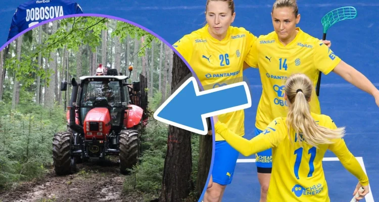 Norges VM-dröm lever: Stjärnornas återkomst sänkte Elfenbenskusten