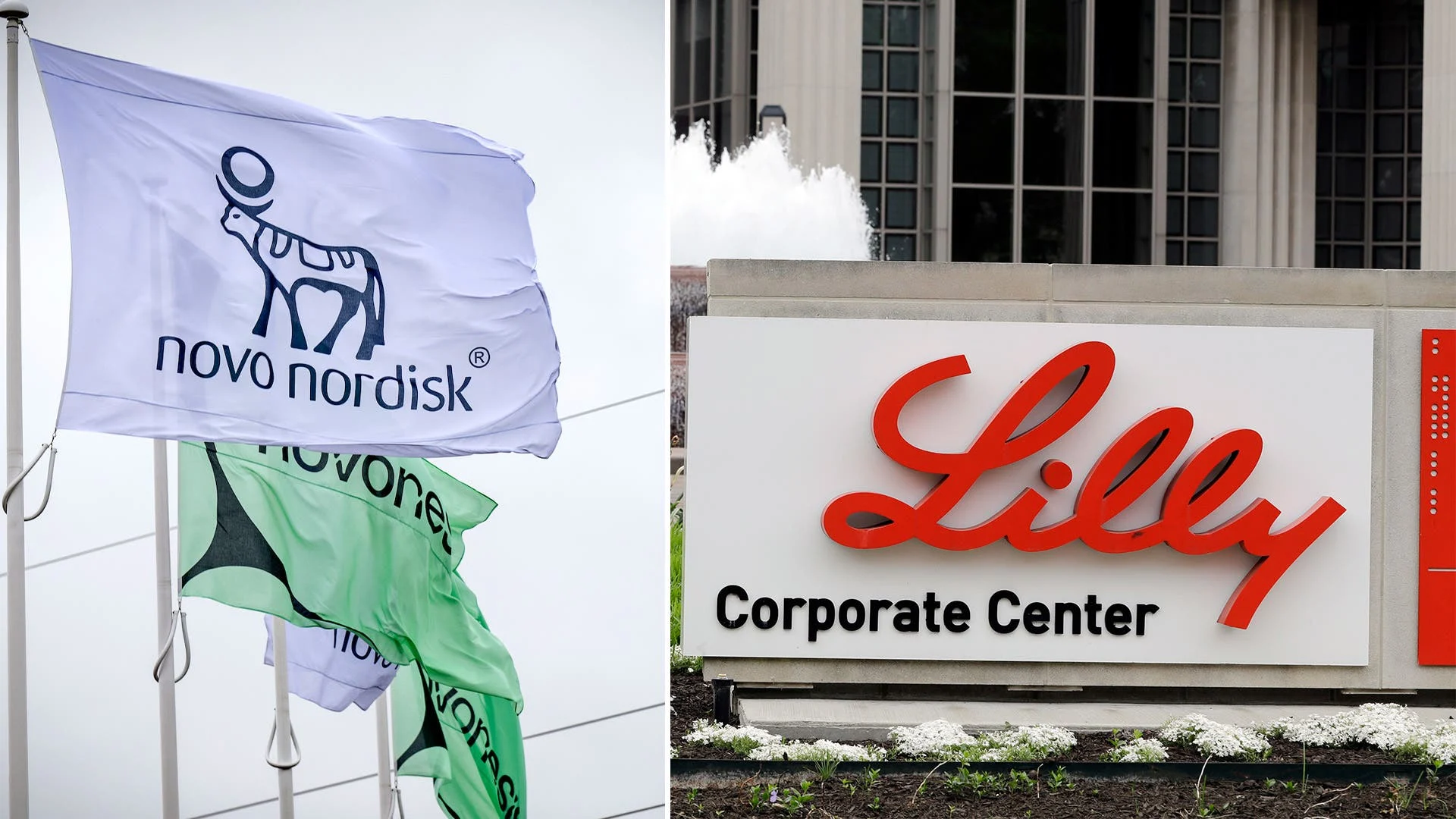 Novo Nordisk Tar Försprång i Kampen Om Fetmapiller