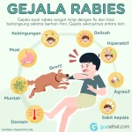 Rabies: Bahaya yang Mengancam Kehidupan Manusia dan Hewan