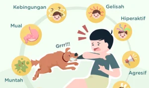 Rabies: Bahaya yang Mengancam Kehidupan Manusia dan Hewan