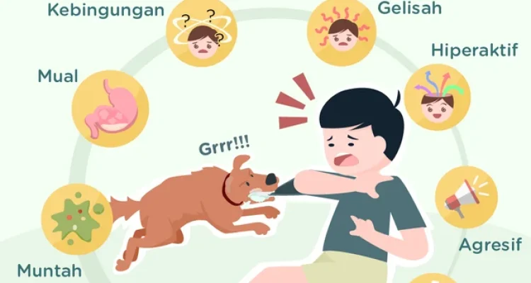 Rabies: Bahaya yang Mengancam Kehidupan Manusia dan Hewan