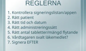 Regeringen Vill Ändra Reglerna för Studiemedel: Vad Innebär Det för Studenter?