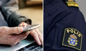Sillgrissla i hemlighet: Polisen varnar för lösenordsmissen