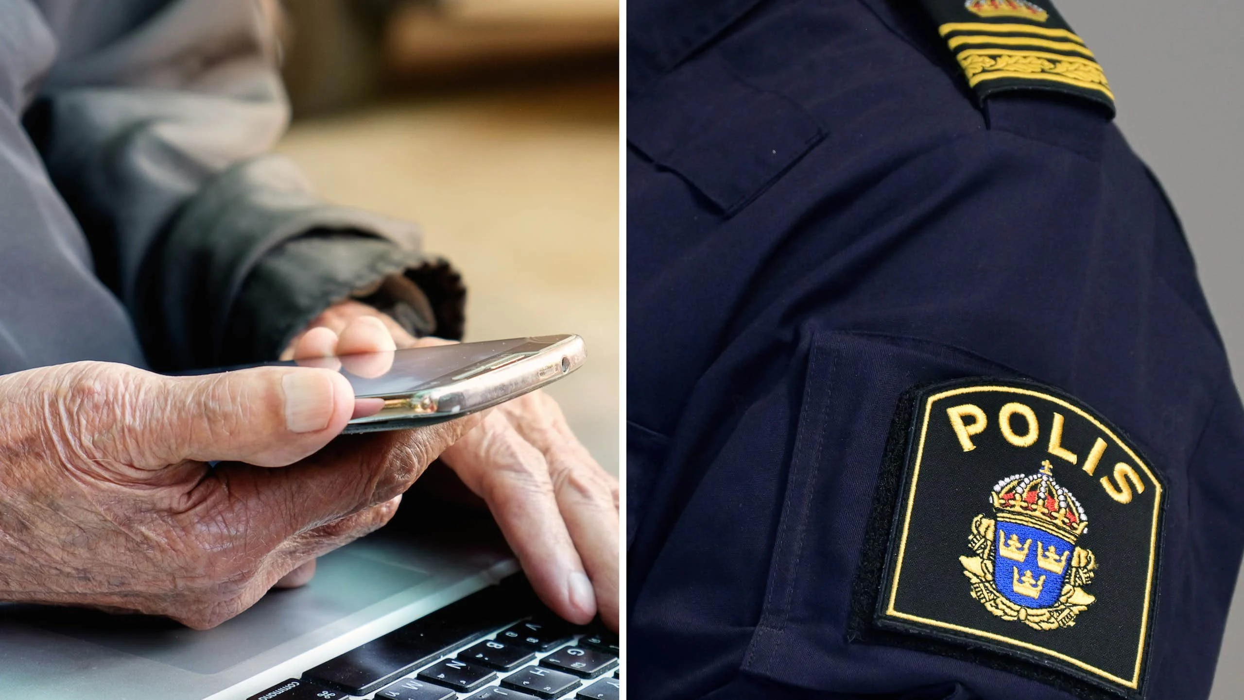 Sillgrissla i hemlighet: Polisen varnar för lösenordsmissen