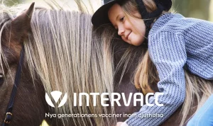 Vaccination och Hästar: En Interessant Sammanslagning