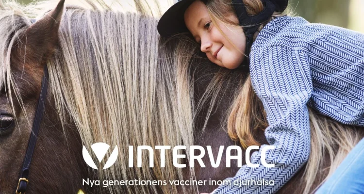 Vaccination och Hästar: En Interessant Sammanslagning