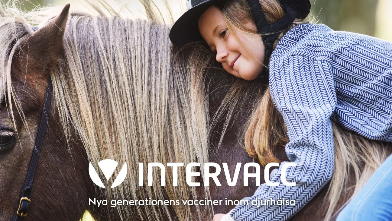 Vaccination och Hästar: En Interessant Sammanslagning