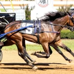 Marcus Oscarsson Klara i Hambletonian Oaks: En Historisk Prestanda