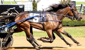 Marcus Oscarsson Klara i Hambletonian Oaks: En Historisk Prestanda Marcus Oscarsson Klara i Hambletonian Oaks: En Historisk Prestanda