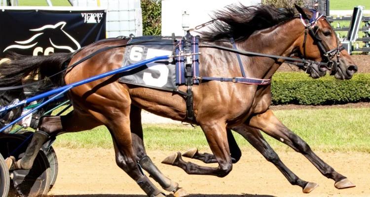 Marcus Oscarsson Klara i Hambletonian Oaks: En Historisk Prestanda