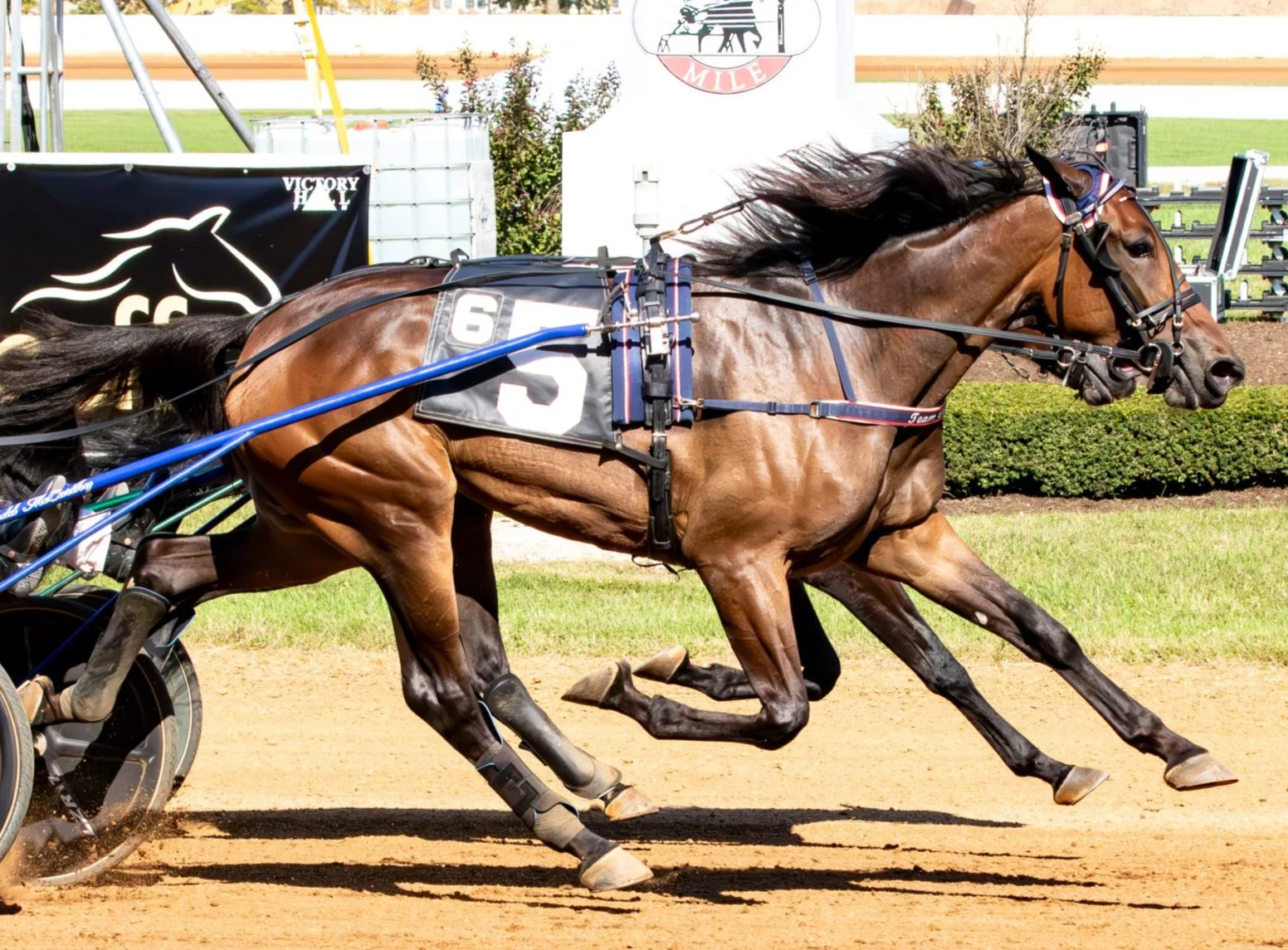 Marcus Oscarsson Klara i Hambletonian Oaks: En Historisk Prestanda