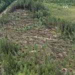 Tromben Råkar Norrbotten - 2 Dödsolyckor Efter Tromben Trasade Sönder Delar Av Tärendö